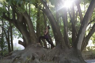 tree-warrior-virabadrasana