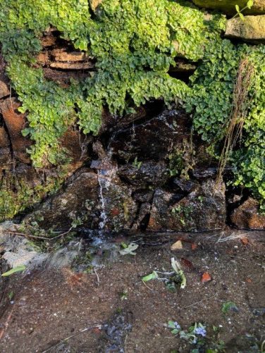 clearing-the-riverbeds-as-above-so-below